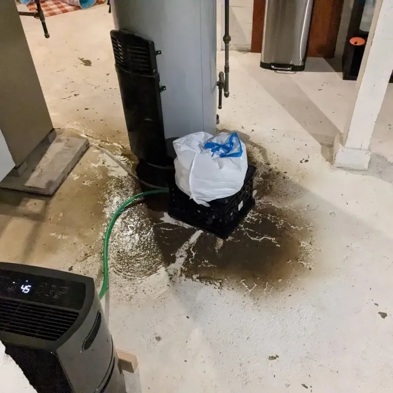 Sewage Backup Cleanup Service in Bent County, CO
